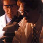 Polymer Industry