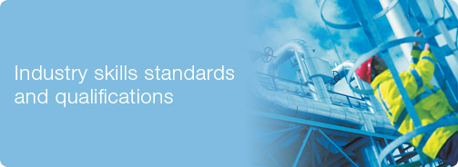 Industry skills standards and qualifications