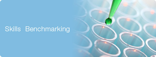 Skills Benchmarking